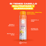 CÓCTEL DE FRUTAS 515ML ANYELUZ