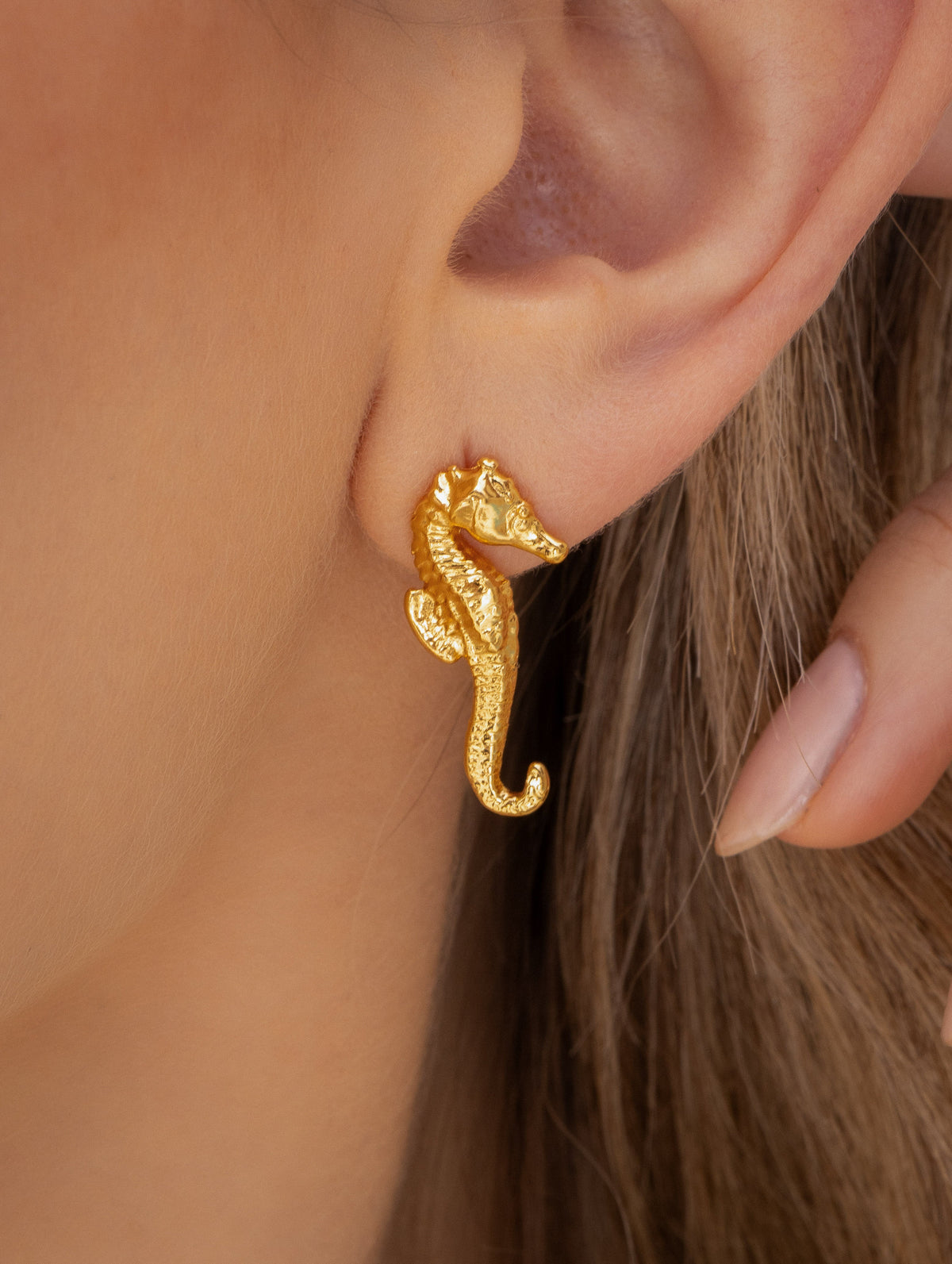 ARETES CABALLITO DE MAR AVEMARÍA