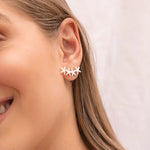 ARETES MULTI ESTRELLAS AVEMARIA