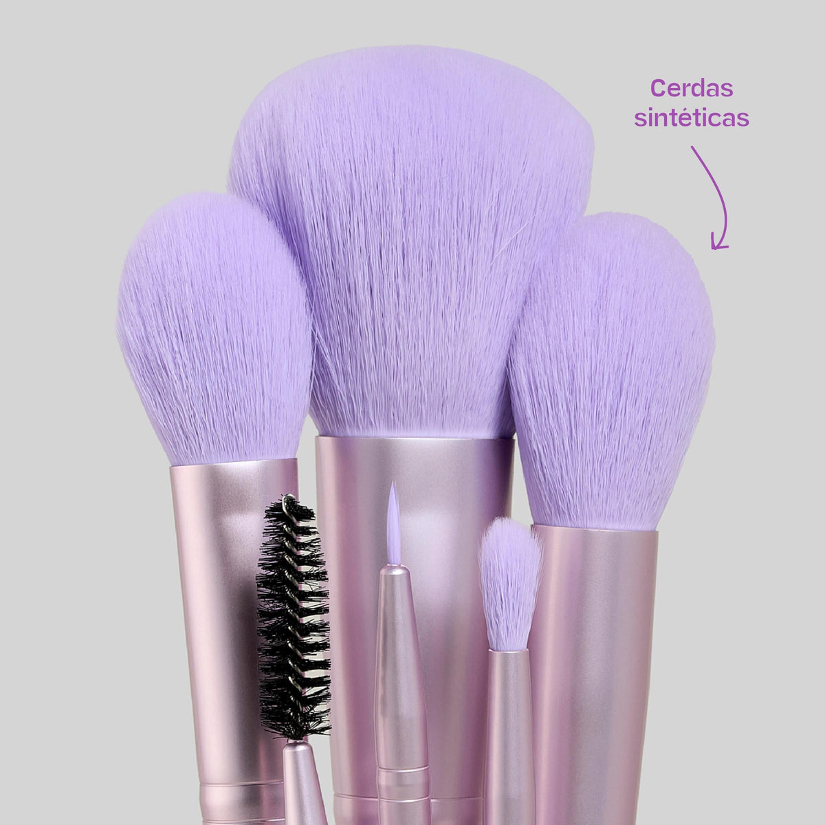 SET DE BROCHAS UVA X14 PCS LULA
