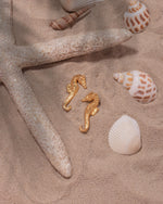 ARETES CABALLITO DE MAR AVEMARÍA