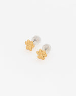 ARETES MNI HUELLA AVEMARIA