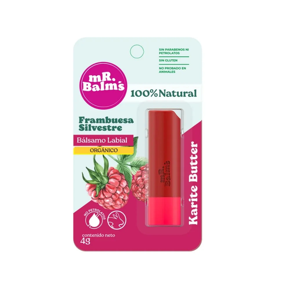 BÁLSAMO DE LABIOS 4GR MR BALMS
