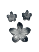 TRIO FLOR PASTA MARTINA
