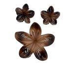 TRIO FLOR PASTA MARTINA
