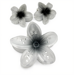 TRIO FLOR PASTA MARTINA