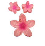TRIO FLOR PASTA MARTINA