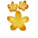 TRIO FLOR PASTA MARTINA