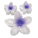 TRIO FLOR PASTA MARTINA
