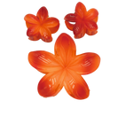 TRIO FLOR PASTA MARTINA