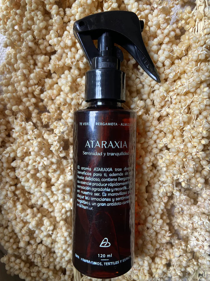 BRUMA PARA AMBIENTES 120ML BIENESTAR