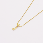 COLLAR LETRA MINI ZIRCON RODIO MARTINA