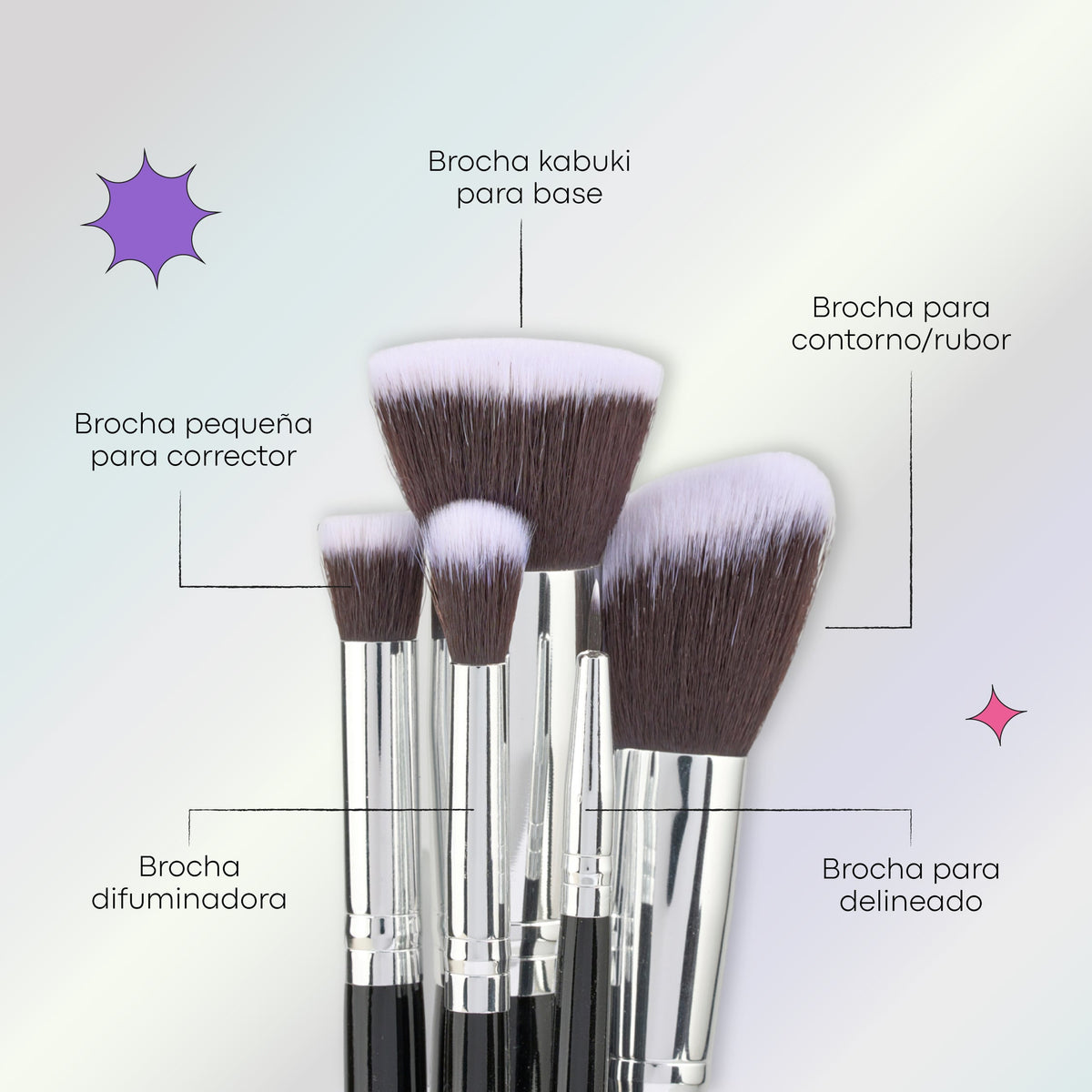 KIT BROCHAS ACADEMY X10 PCS LULA