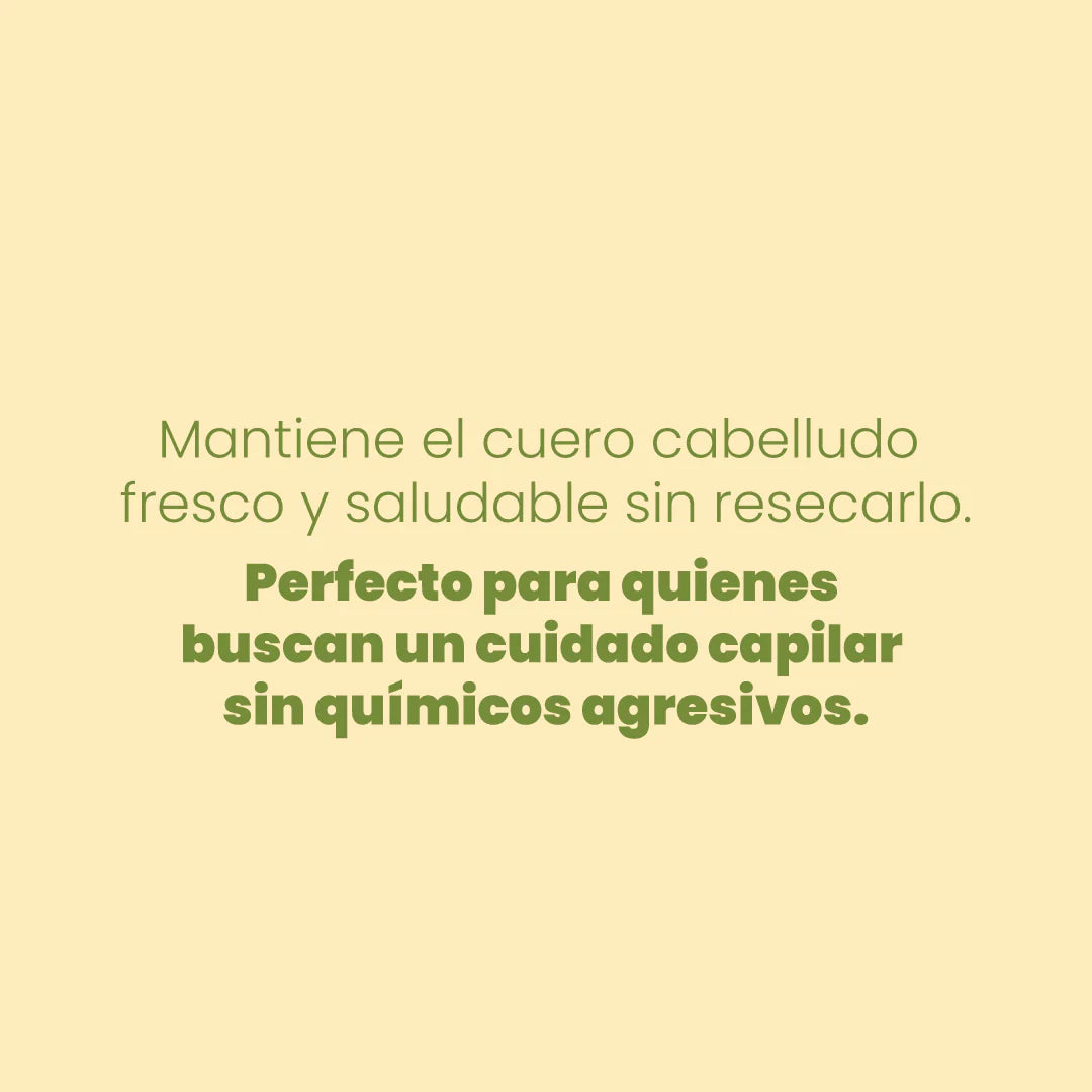 SHAMPOO CON MANZANILLA 500ML ANYELUZ