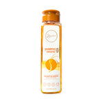 SHAMPOO GINSENG 500ML ANYELUZ