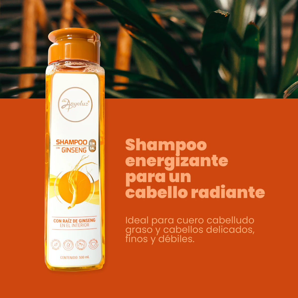 SHAMPOO GINSENG 500ML ANYELUZ