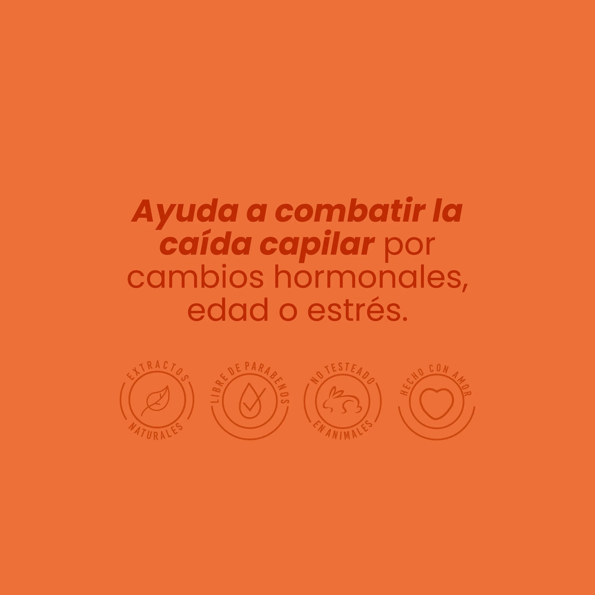 SHAMPOO GINSENG 500ML ANYELUZ