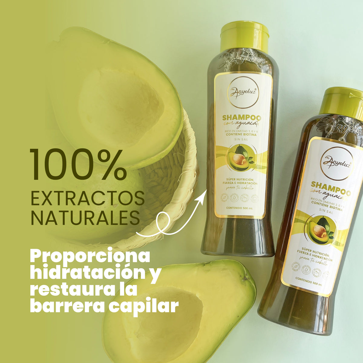 SHAMPOO CON AGUACATE 500ML ANYELUZ