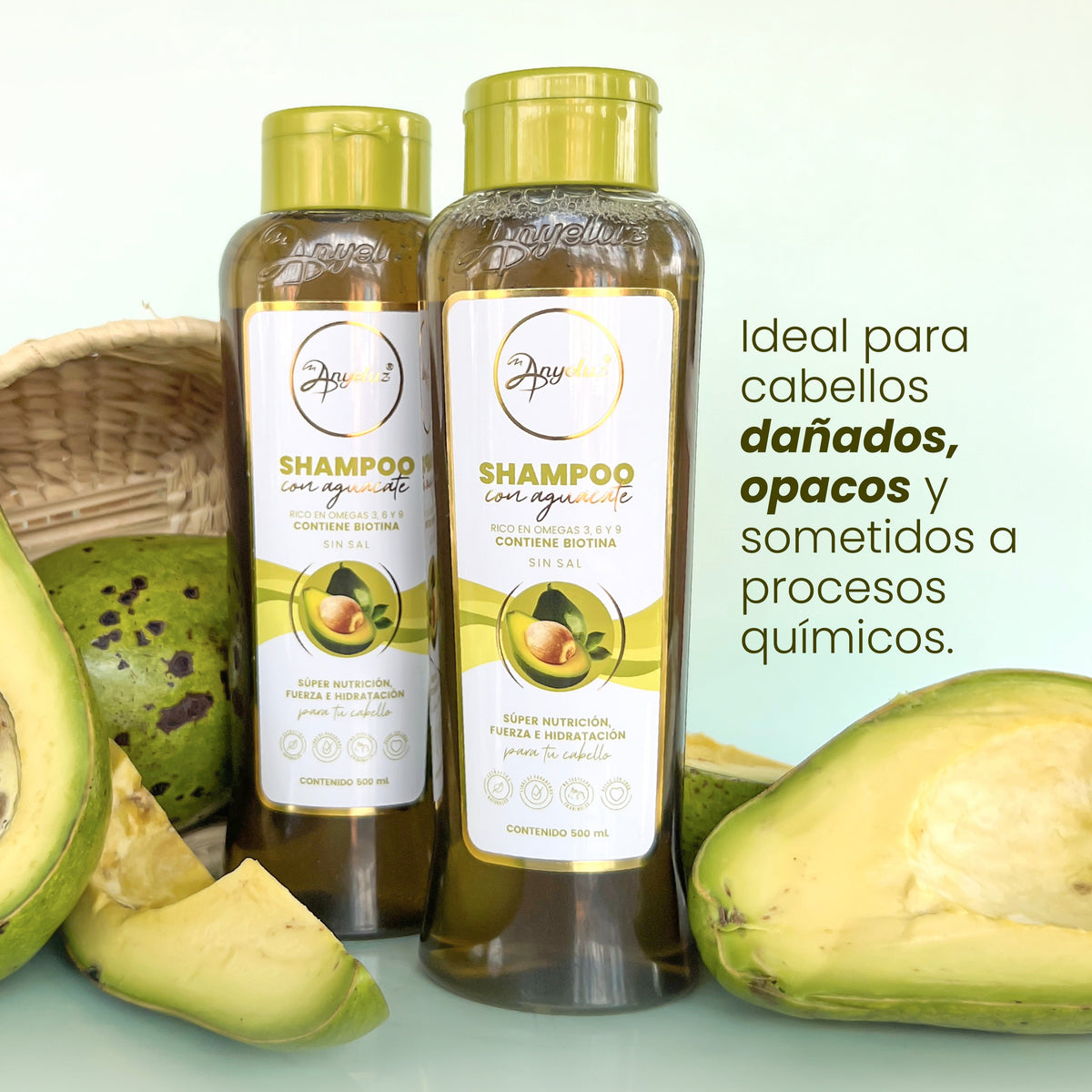 SHAMPOO CON AGUACATE 500ML ANYELUZ