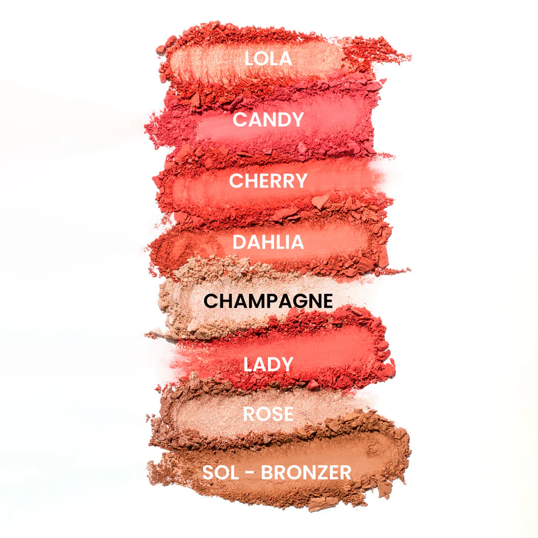 PALETA DE RUBOR LIGHT SET 8T MONTOC