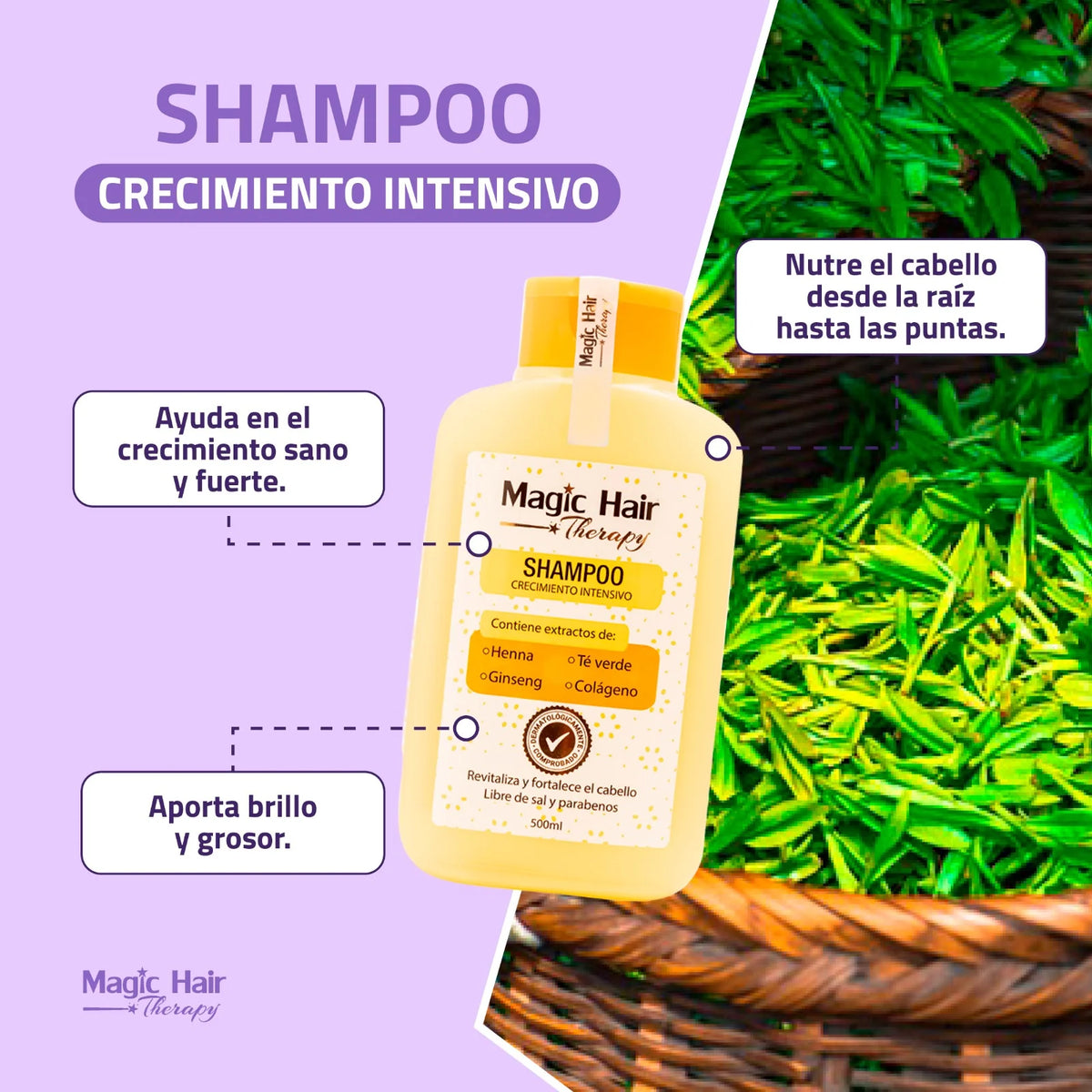 SHAMPOO CRECIMIENTO INTENSIVO 500ML MAGIC HAIR