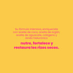 MASCARILLA REPARADORA HIDRATANTE AFRO & CURLY 500ML ANYELUZ