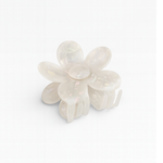 PINZA CAIMAN NACARADO FLOR PASTA MARTINA