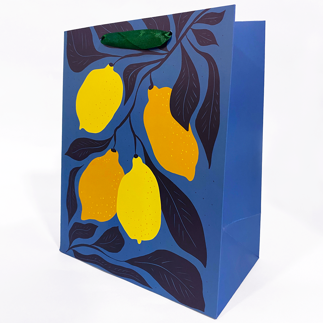 BOLSA ESTAMPADA SURTIDA 24.5X19.6CM MARTINA