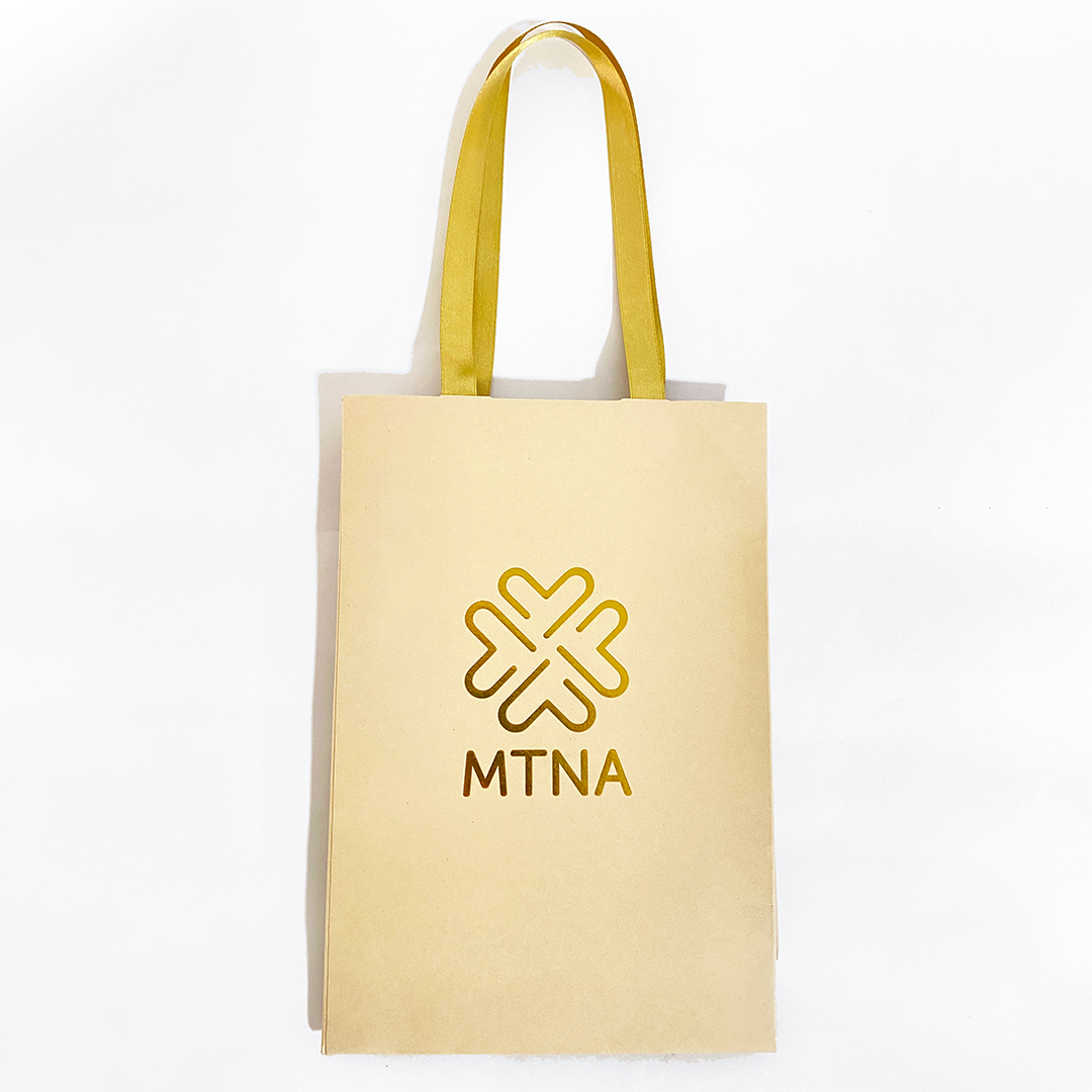 BOLSA REGALO 23X16X6CM MARTINA