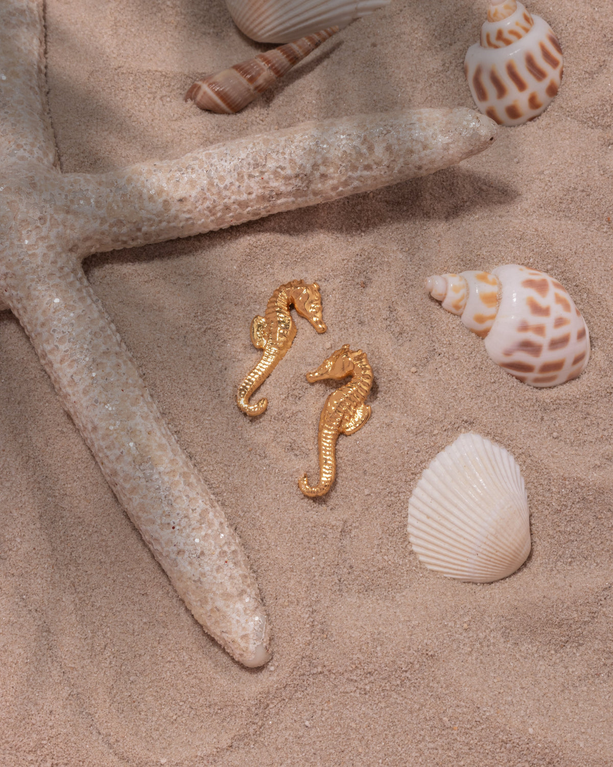 ARETES CABALLITO DE MAR AVEMARÍA