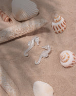 ARETES CABALLITO DE MAR AVEMARÍA