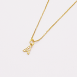 COLLAR LETRA MINI ZIRCON RODIO MARTINA