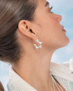 ARETES ESTRELLAS SILUETA PLATA AVEMARIA