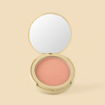 POLVO EN GEL MATIFICANTE 8.5G ATENEA