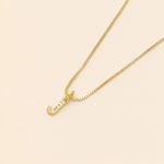 COLLAR LETRA MINI ZIRCON RODIO MARTINA