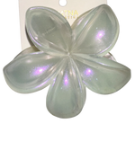 PINZA CAIMAN FLOR TORNASOL MARTINA