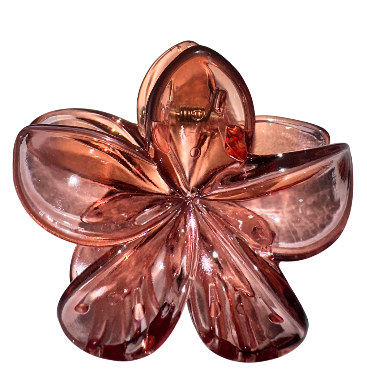 PINZA CAIMAN FLOR TORNASOL MARTINA