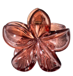 PINZA CAIMAN FLOR TORNASOL MARTINA