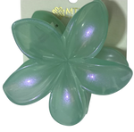 PINZA CAIMAN FLOR TORNASOL MARTINA