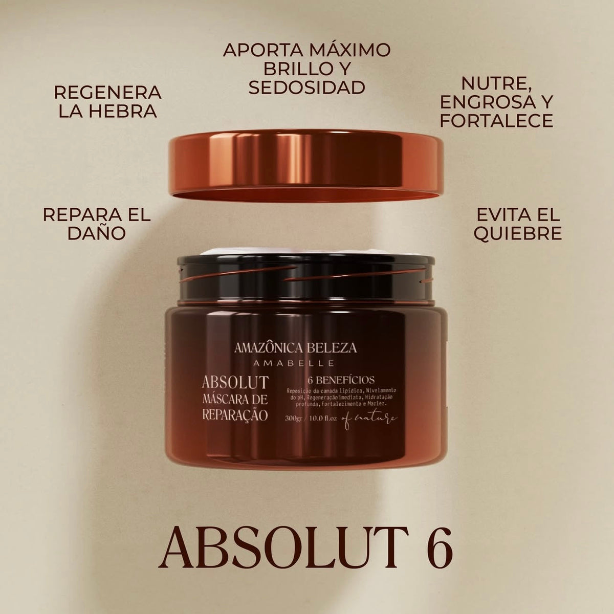 MASCARILLA ABSOLUT 6 BENEFICIOS 500ML AMAZONICA