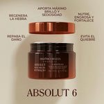 MASCARILLA ABSOLUT 6 BENEFICIOS 500ML AMAZONICA