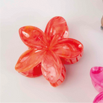 PINZA CAIMAN FLOR GRANDE BRILLANTE PASTA MARTINA