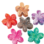 PINZA CAIMAN FLOR GRANDE BRILLANTE PASTA MARTINA