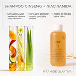 SHAMPOO GINSENG+NIACINAMIDA 500ML ELIXIR
