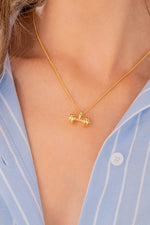 COLLAR PERSONALIZABLE VIDA EN EQUILIBRIO