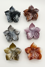 Pinza Mediana Flor Martina en seis colores con fondo blanco humo cálido