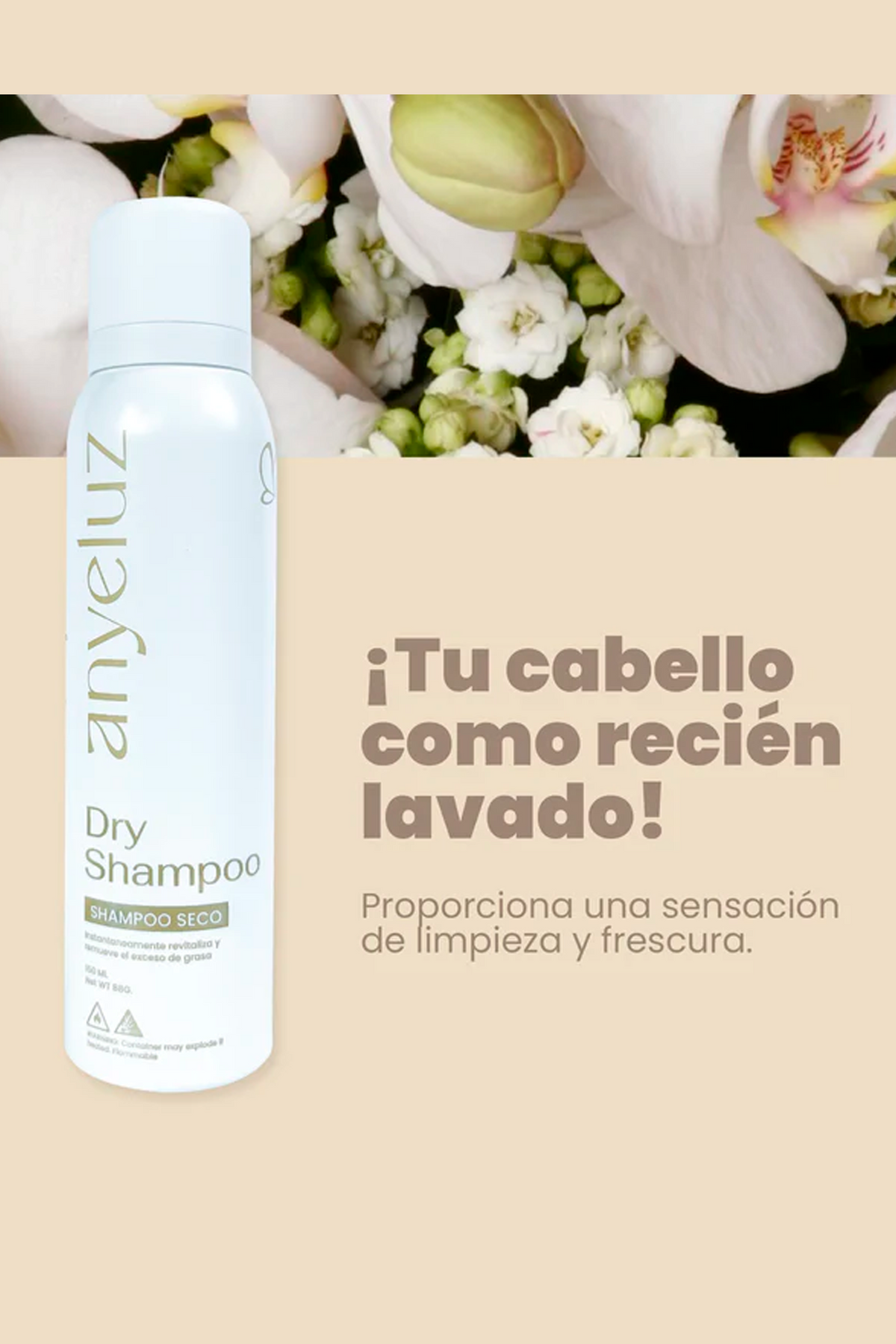 SHAMPOO SECO ANYELUZ 150ML